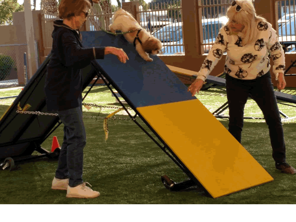 Intermediate Agility