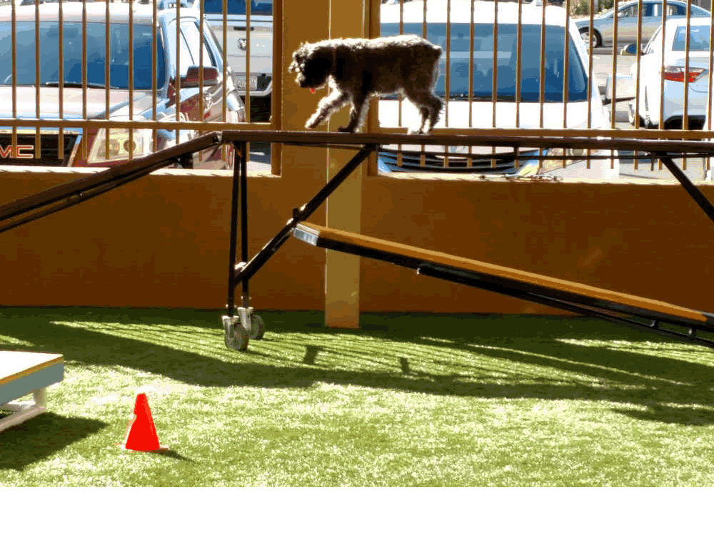 Beginning Agility