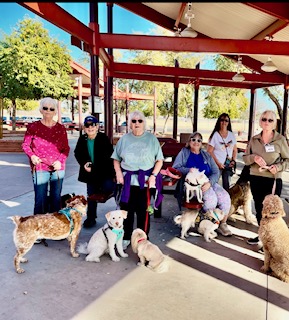 Bark in the Park