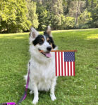 MEMORIAL DAY Potluck